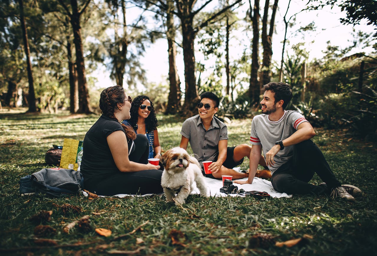 people in a park